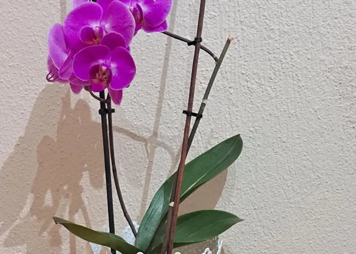 Casa Di Tre Mare * Nea Kallikrateia