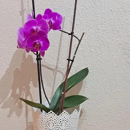 Casa Di Tre Mare * Nea Kallikrateia